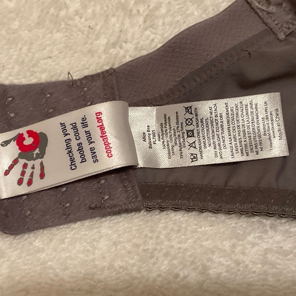 Elegant Sheer Lace Bra in Gray - Picture 6 of 6